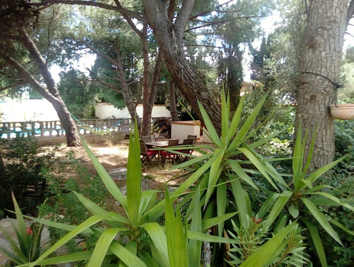 Le Paradis De Valerie Sete Luaran gambar
